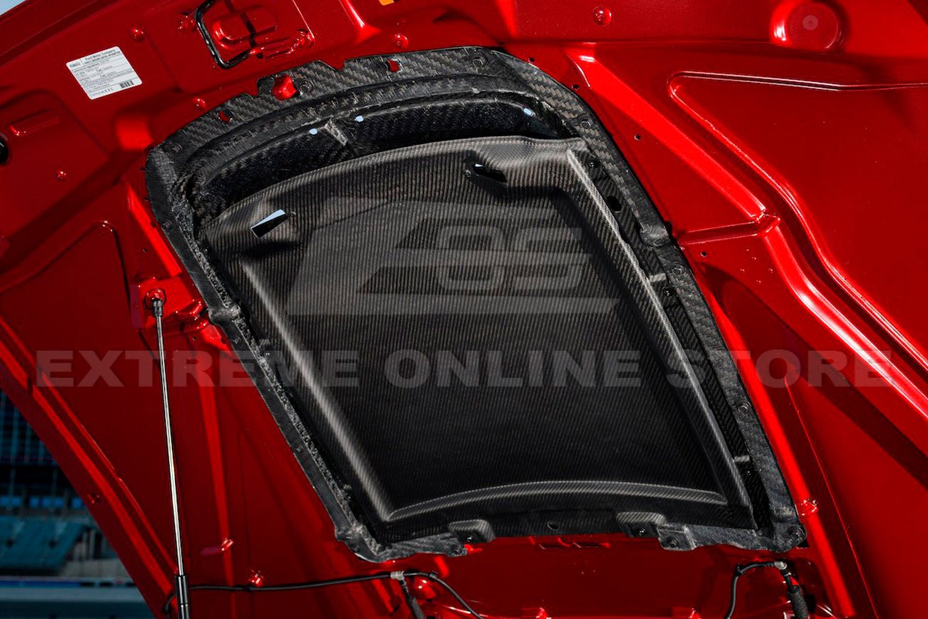 Ford Mustang S550 GT500 Dry Carbon Fiber Rain Tray Cover 2020-2023