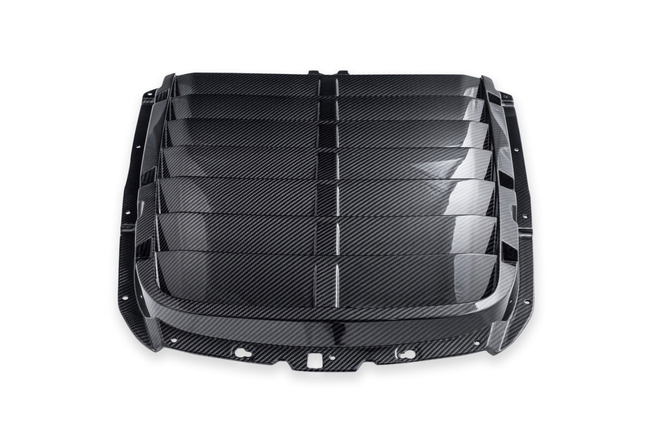 Ford Mustang S550 GT500 Dry Carbon Fiber Hood Vent Rain Tray Cover Kit 2020-2023