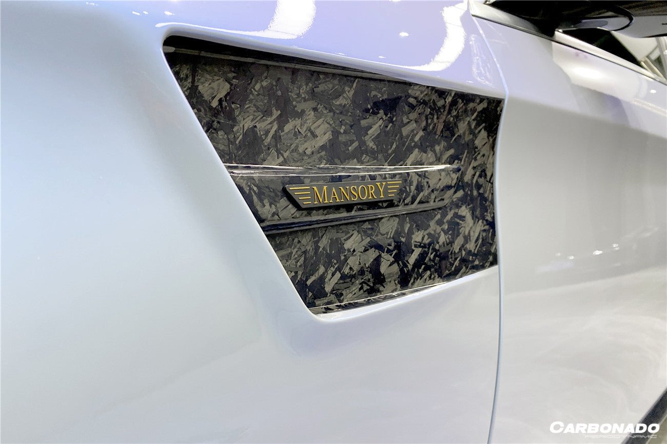 2017 - 2020 Mercedes Benz S63 W222 Sedan MSY Style Fender