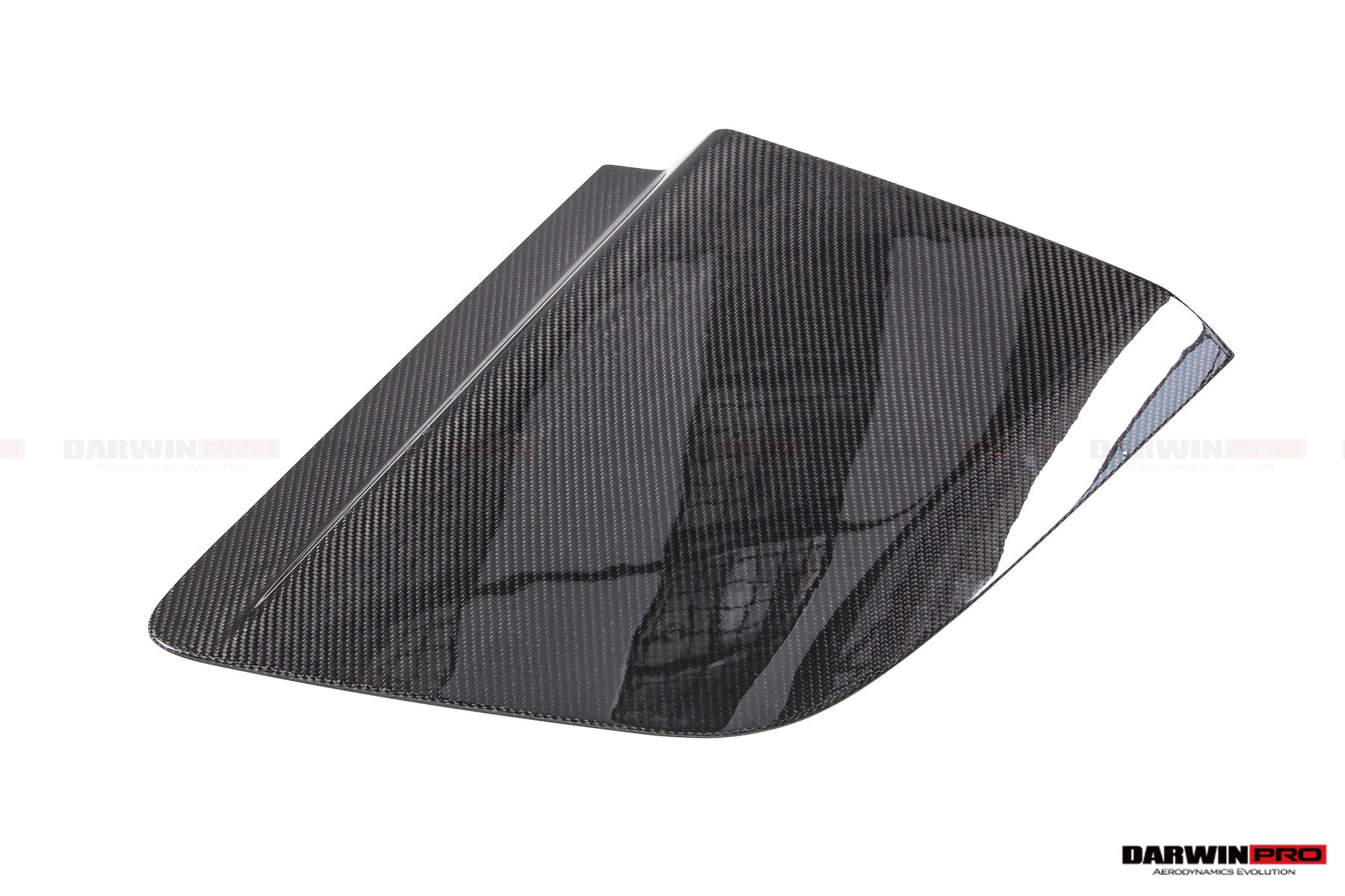 2016 - 2024 Audi R8 Coupe&Spyder GT4 Style Dry Carbon Fiber Side Door Panel Blades