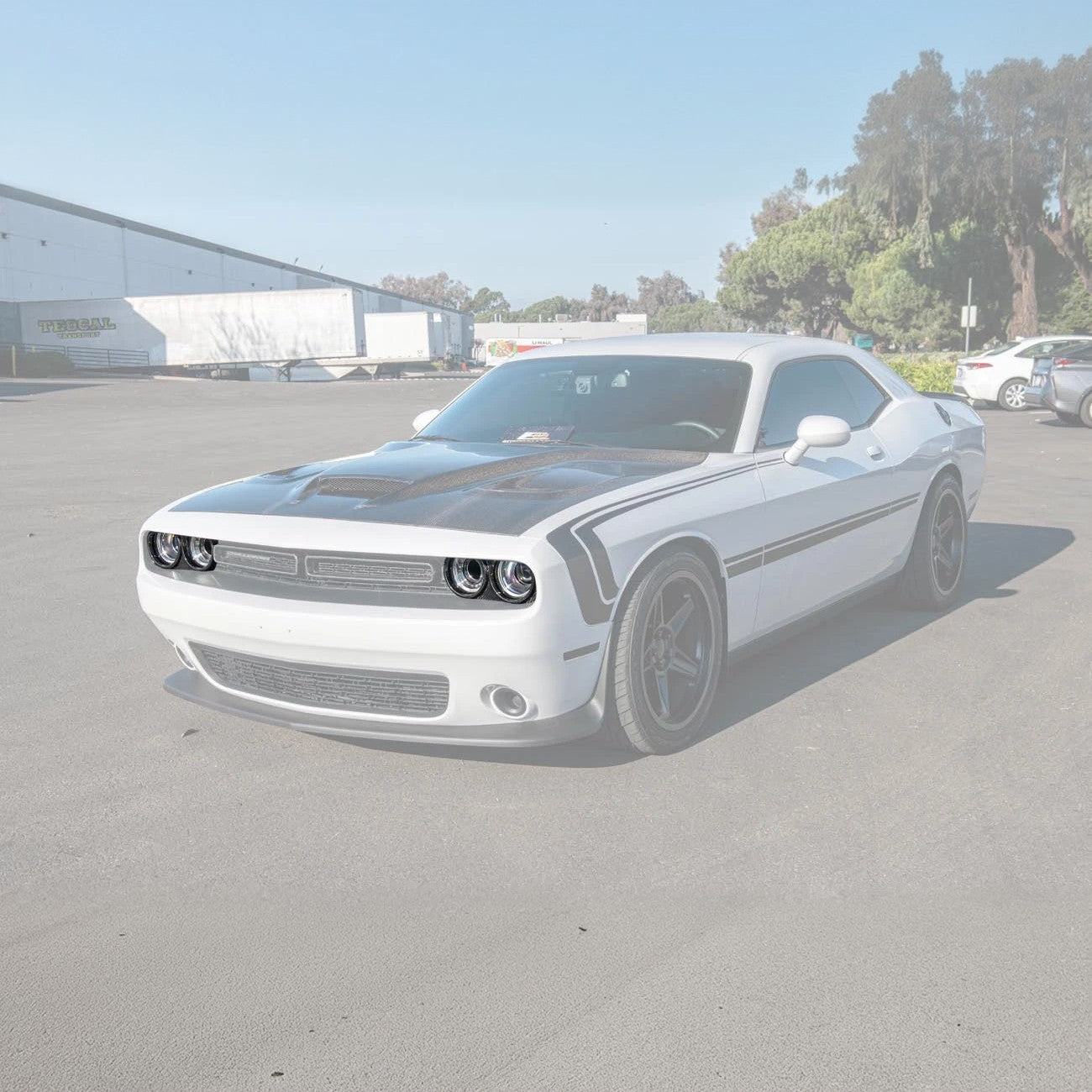 Dodge Challenger LA Factory Style Carbon Fiber Headlight Trim Cover Overlay 2015-2023