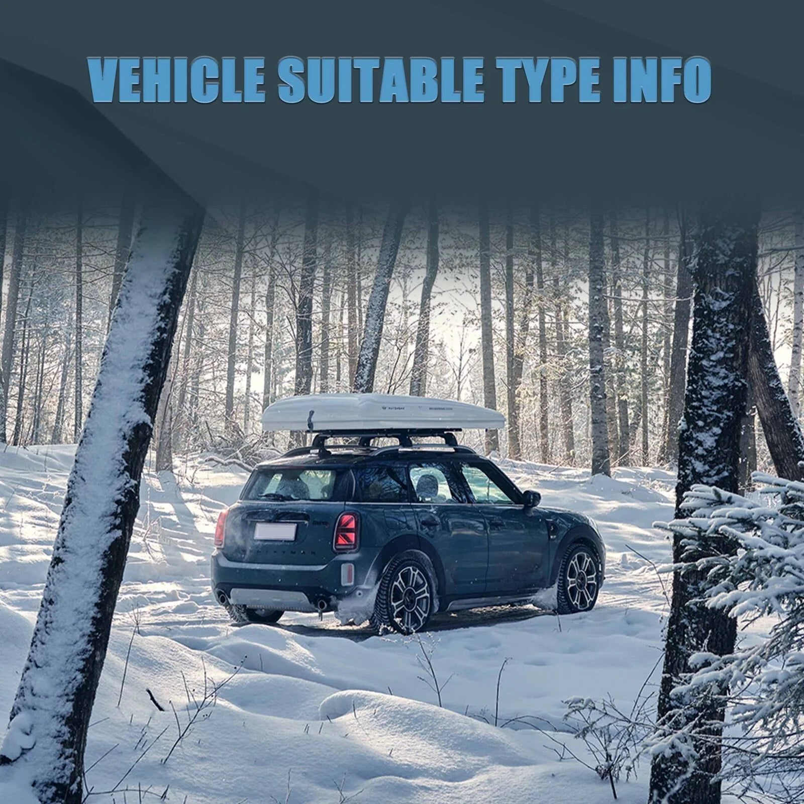 BMW Mini Countryman F60 LED Taillights 2017 - 2023