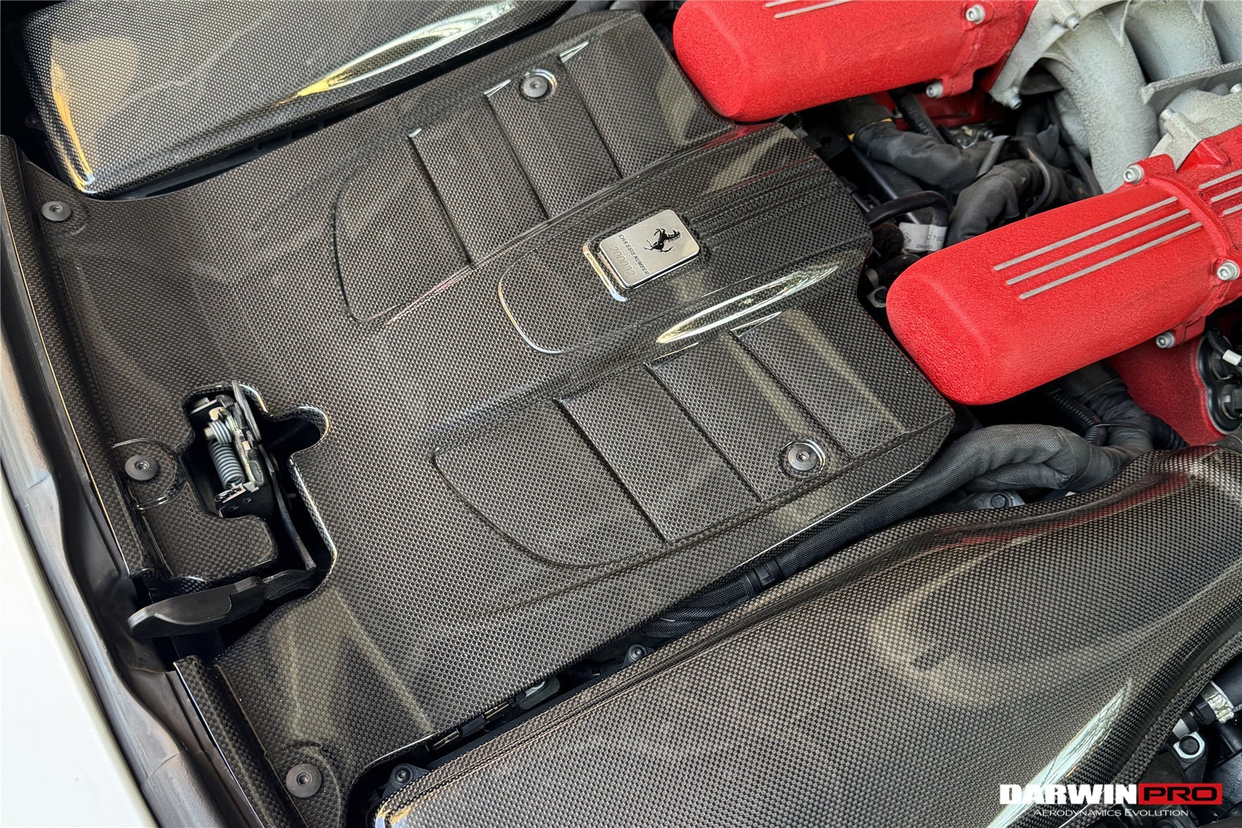 2012 - 2017 Ferrari F12 Berlinetta Dry Carbon Fiber Engine Cover