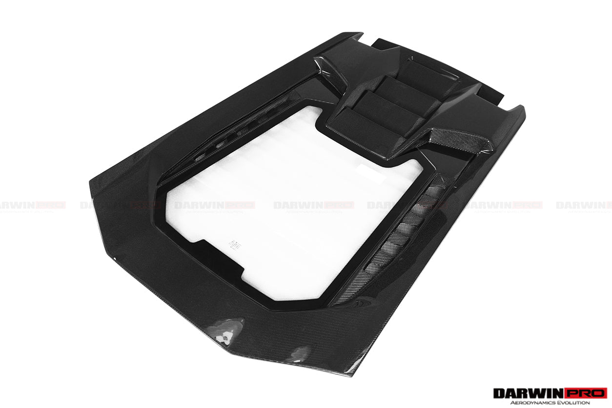 2015 - 2023 Lamborghini Huracan LP610 & LP580 & EVO Coupe Performante Style Carbon Fiber Spoiler Wing and Engine Hood