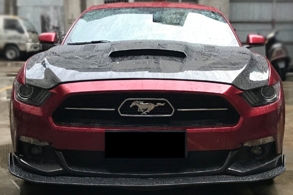 2015 - 2017 Ford Mustang HY Style Carbon Fiber Front Lip 2PCS
