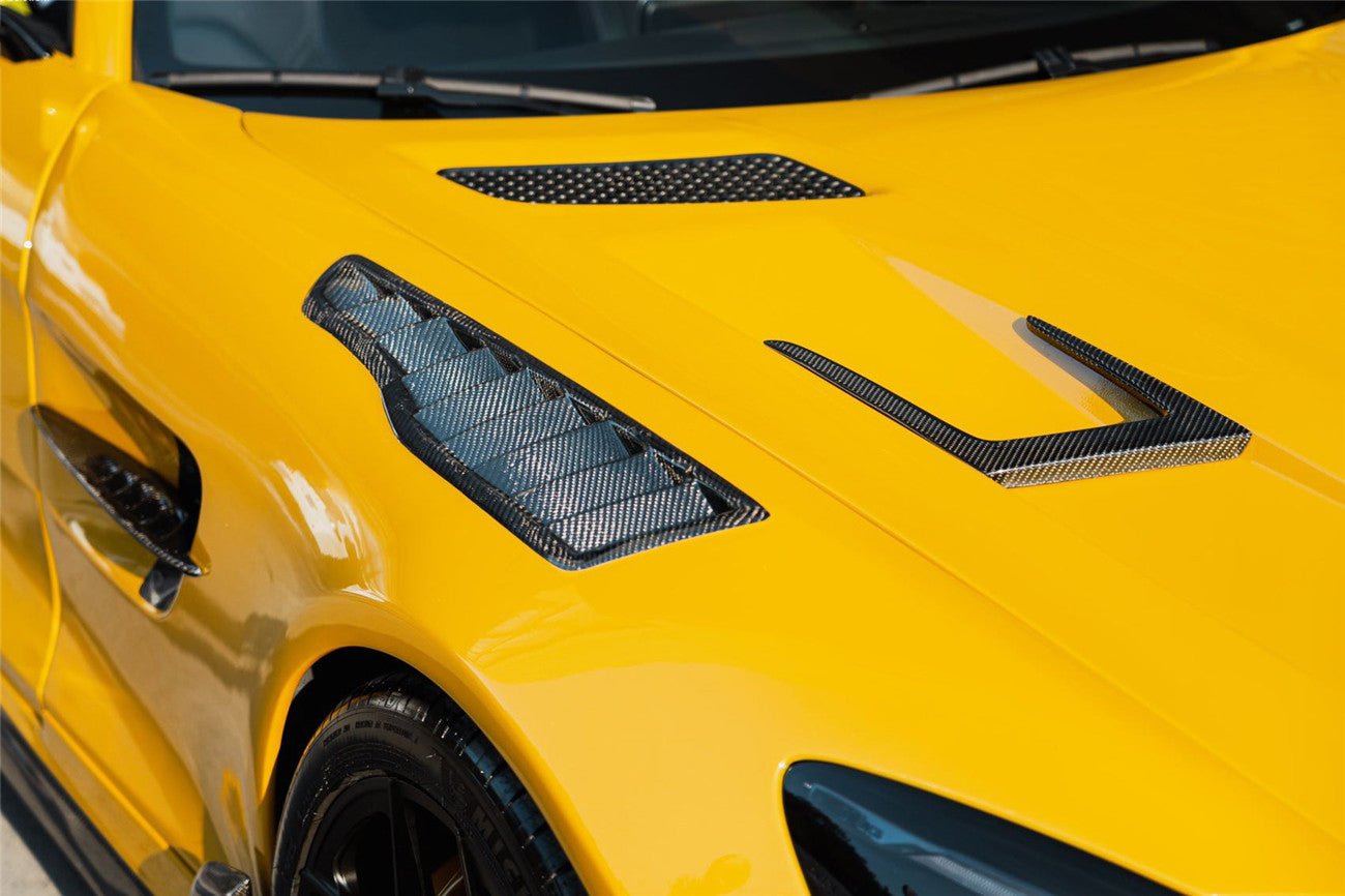2015 - 2021 Mercedes Benz AMG GT/GTS/GTC/GTR BK Style Partial Carbon Fiber Front Fender