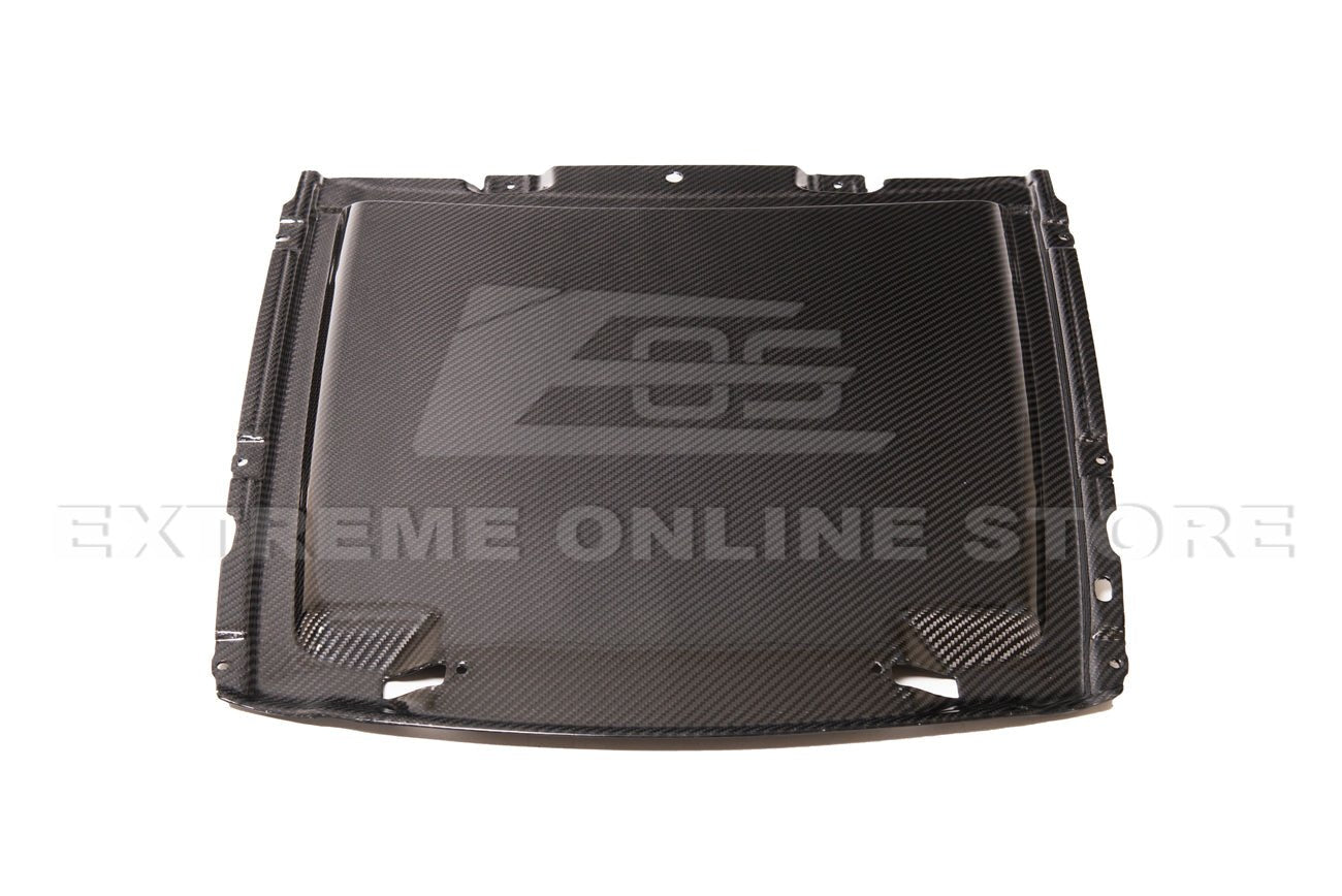 Ford Mustang S550 GT500 Dry Carbon Fiber Rain Tray Cover 2020-2023