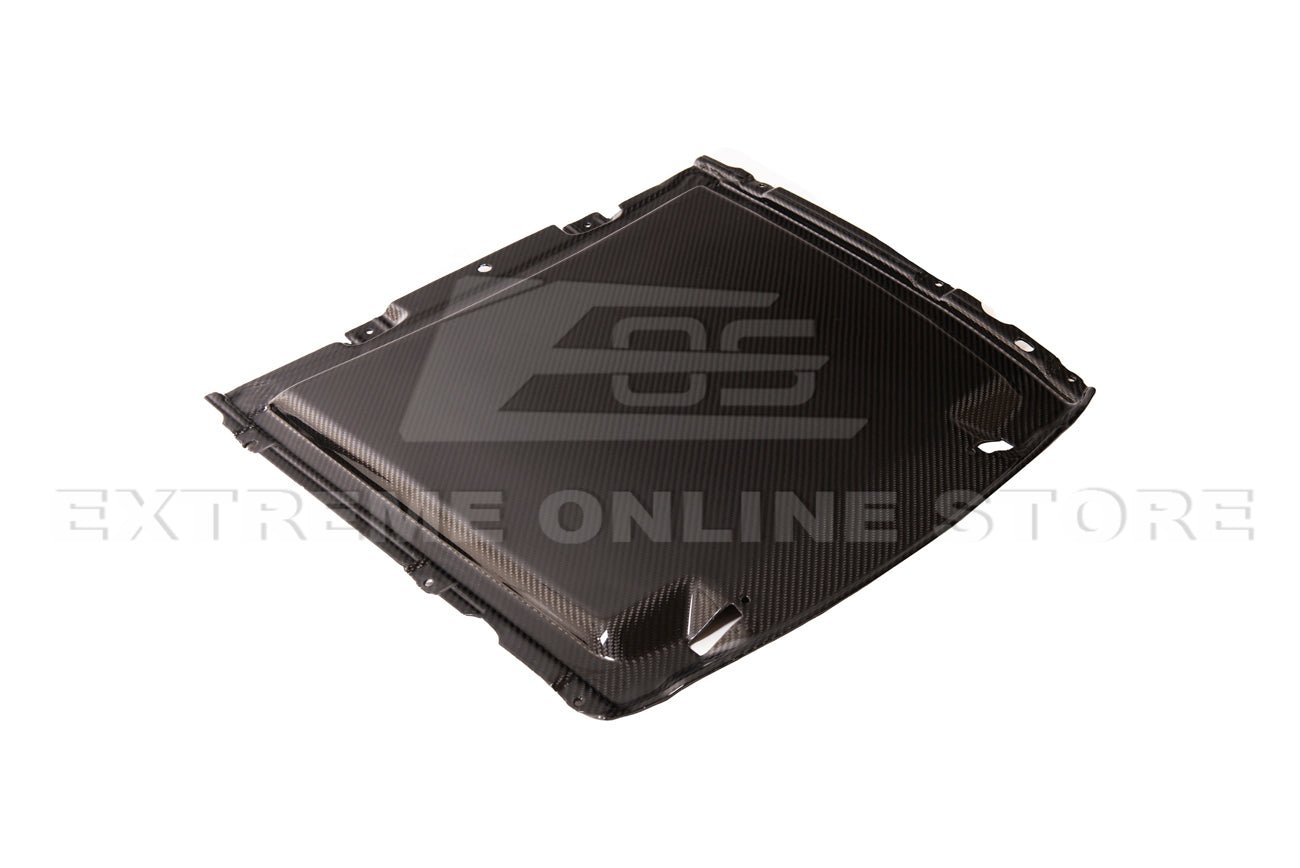 Ford Mustang S550 GT500 Dry Carbon Fiber Rain Tray Cover 2020-2023