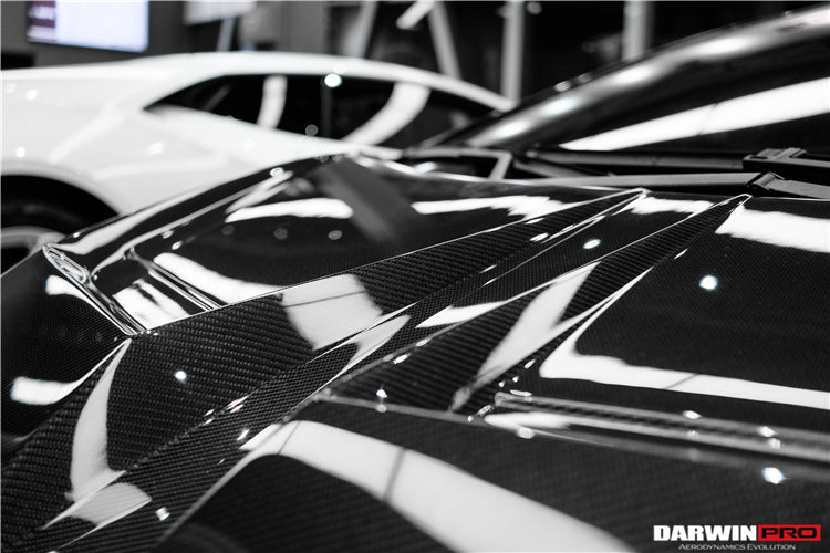 2009 - 2014 Lamborghini Gallardo IRON Style Hood