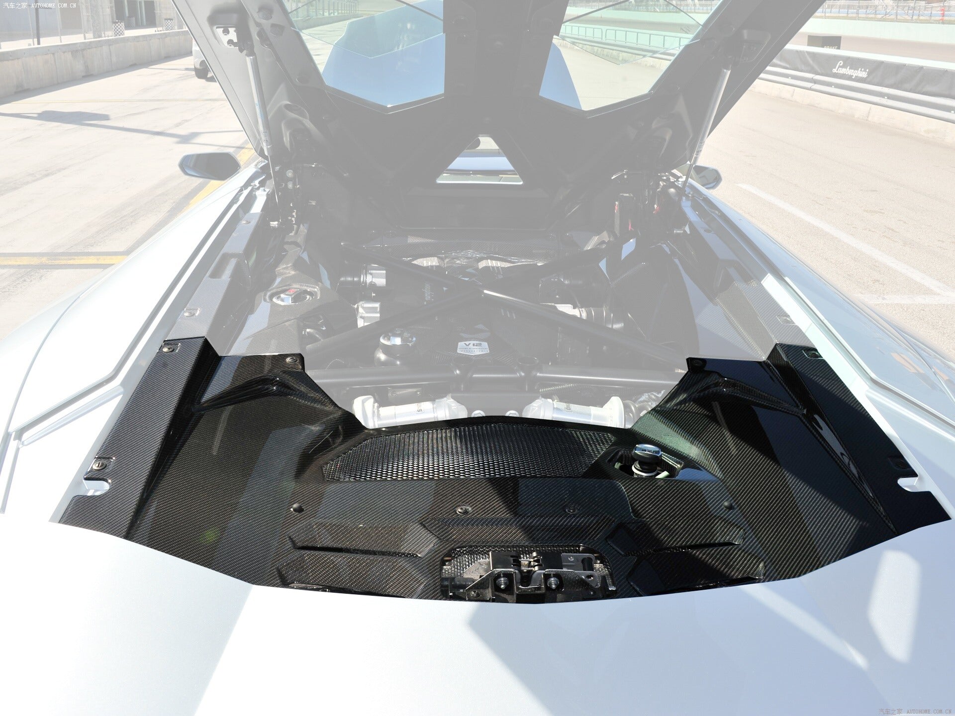 Lamborghini Aventador LP700 Coupe Carbon Fiber Engine Bay Rear Trim Cover Replacement 2011-2016