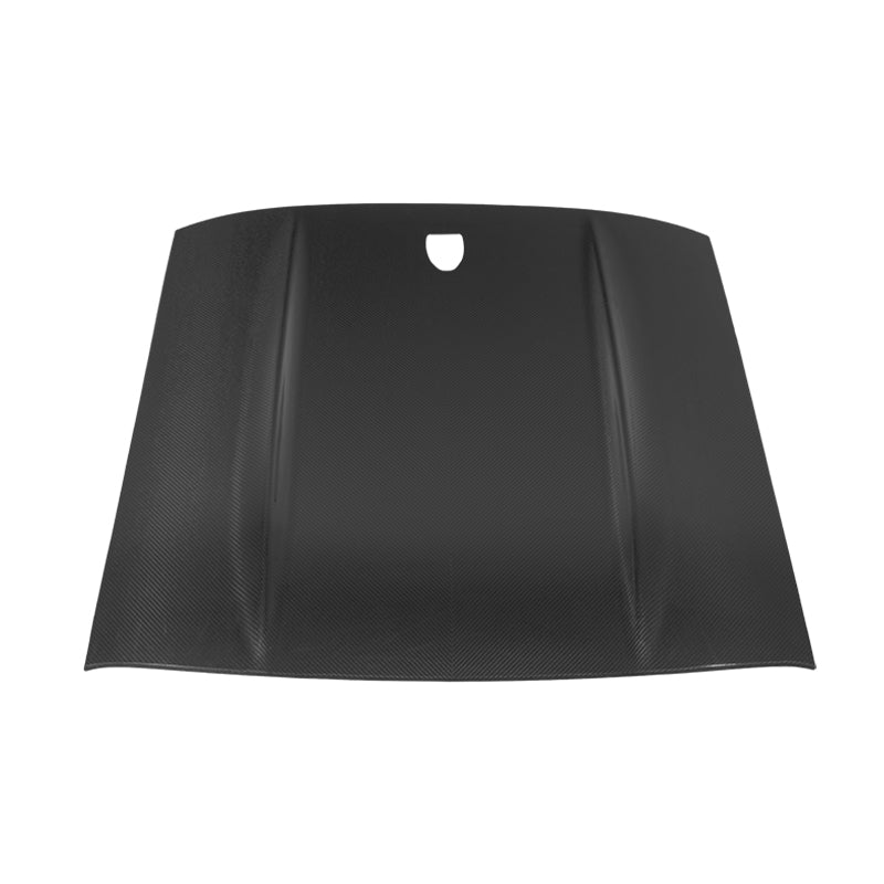 Ford Mustang Dry Carbon Fiber Roof Panel Cover S550 S650 2015–Present