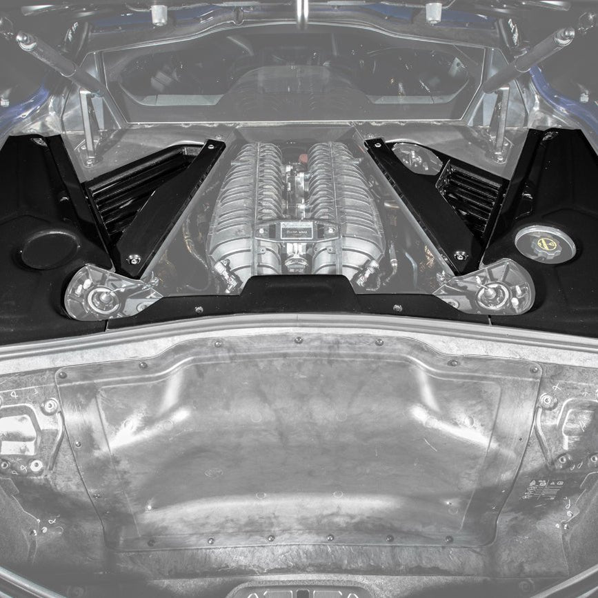 Corvette C8 Carbon Flash Engine Bay Trim Appearance Panel Cover 2020-Up