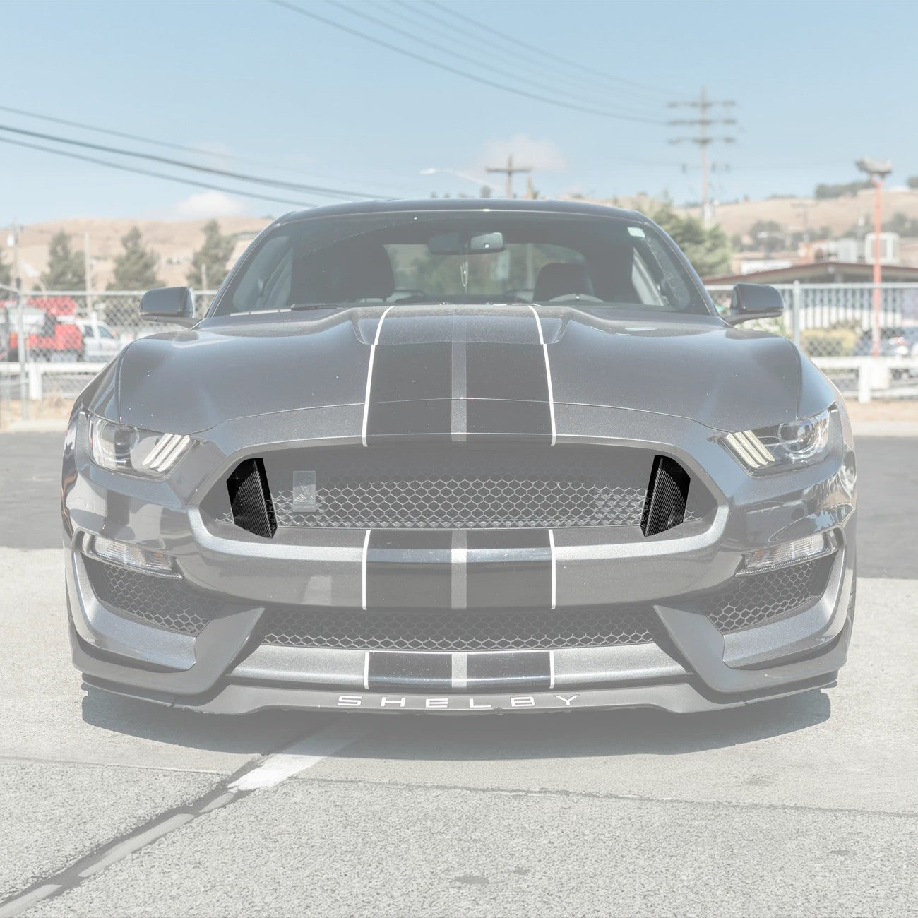 Ford Mustang S550 GT350 Style Dry Carbon Fiber Front Upper Grille Inserts 2015-2020