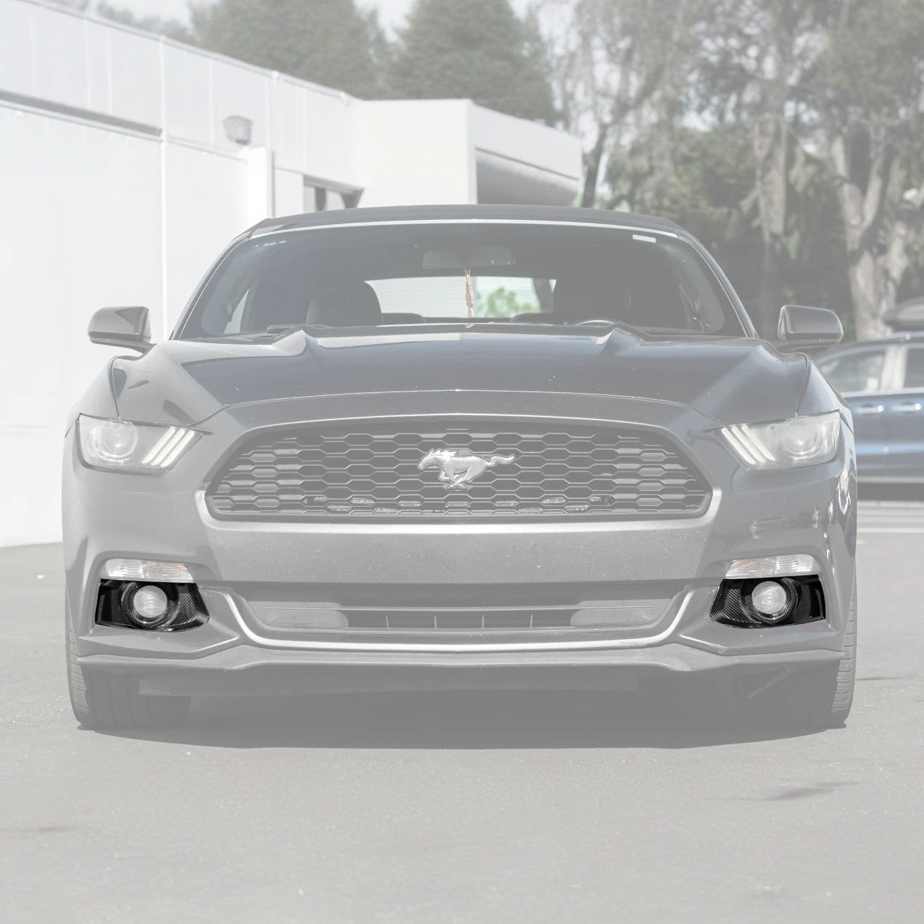 Ford Mustang S550 Dry Carbon Fiber Front Bumper Fog Light Bezel Cover Pair 2015-2017