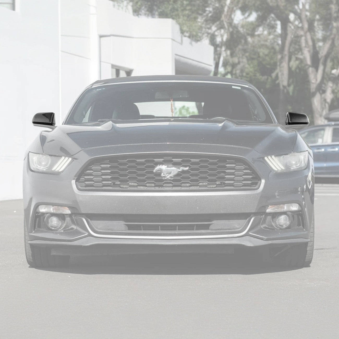 Ford Mustang S550 Dry Carbon Fiber Mirror Cap Cover Pair 2015-2023