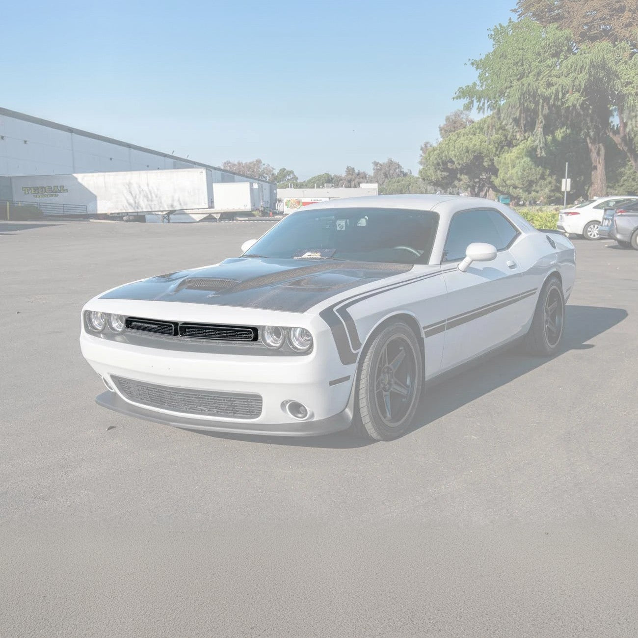 Dodge Challenger Factory Style Carbon Fiber Front Grille Trim Insert Overlay 2015-2023