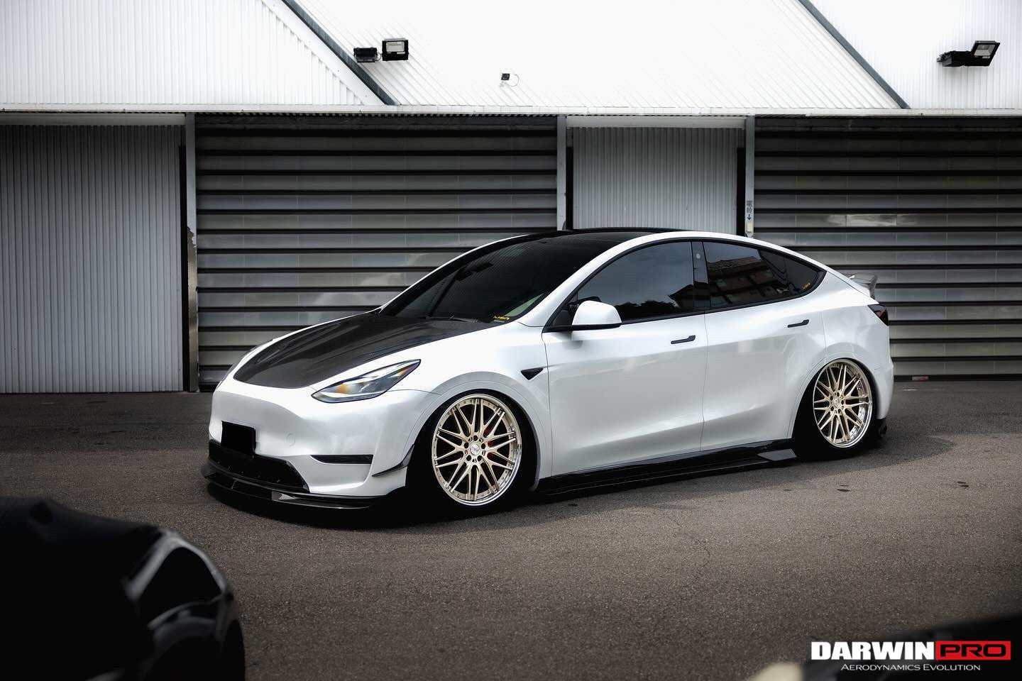 2020 - 2023 Tesla Model Y IMP Performance Carbon Fiber Side Skirts