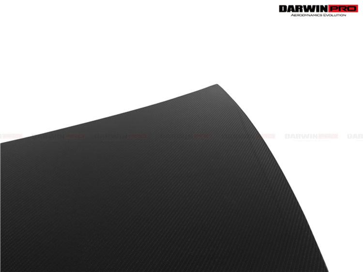 2017 - 2023 Tesla Model 3 Carbon Fiber Hood